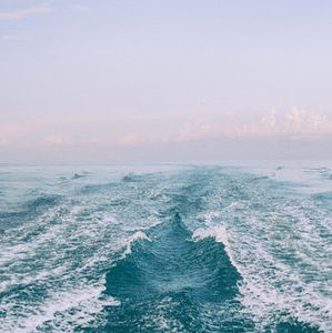 Meet your Posher, Alexandria